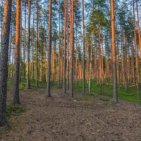 Etelae-kalaton At An Esker Ridge Area 샬레 *